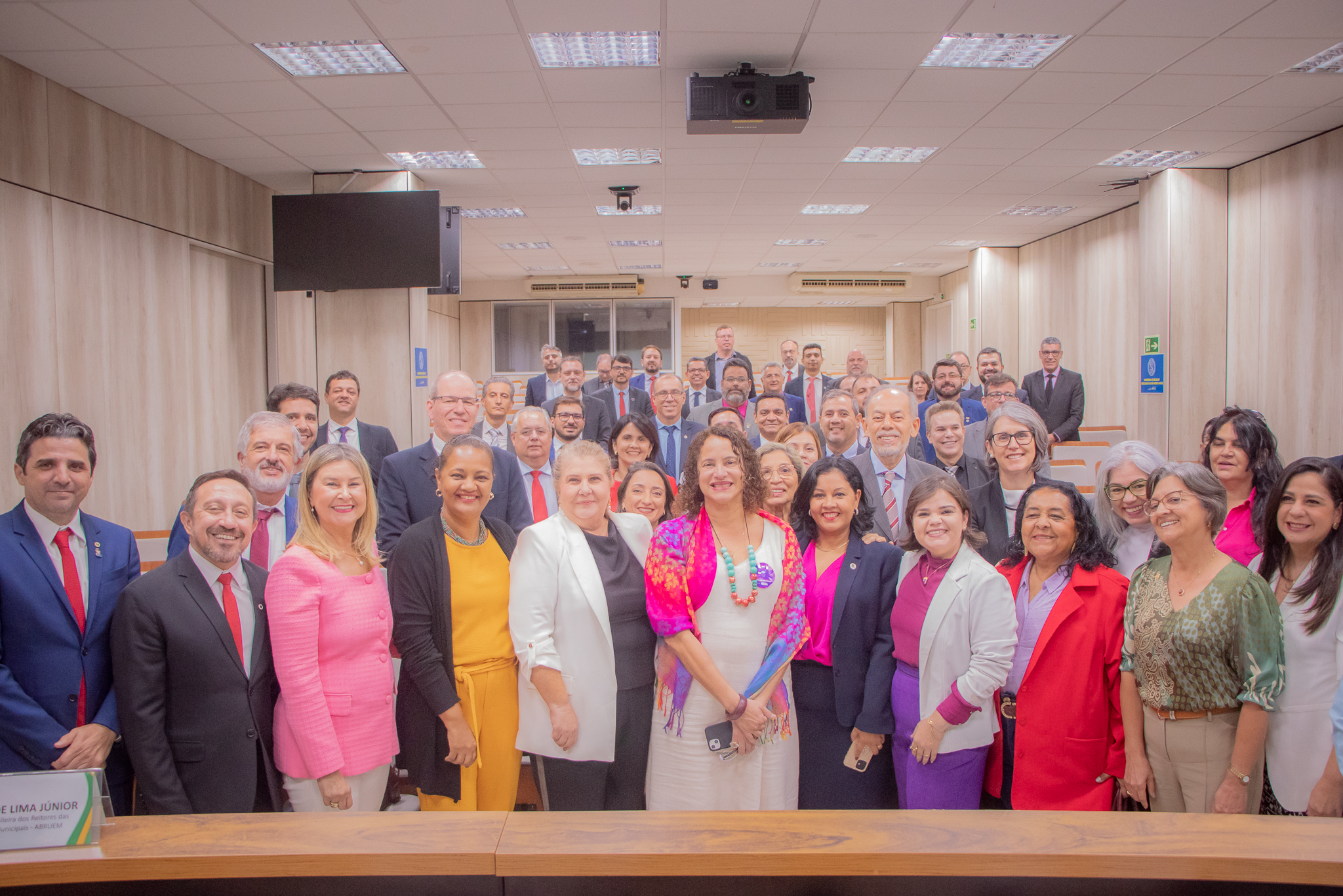 Apiesp participa de reunião com a Ministra da Ciência, Tecnologia e Inovação