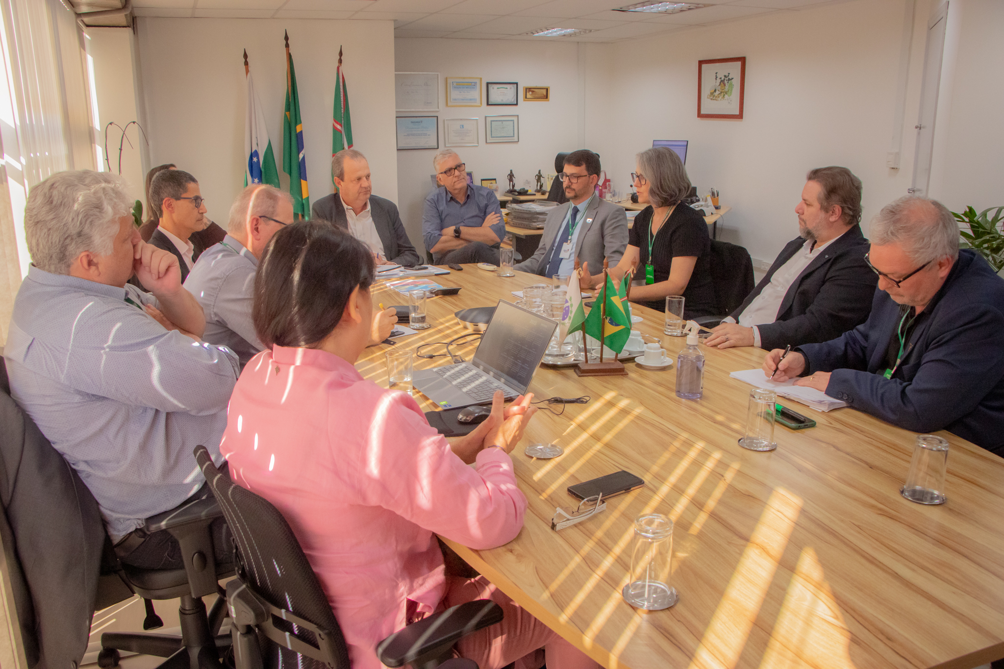 Apiesp conversa com o Secretário Aldo Bona sobre os planos das carreiras universitárias